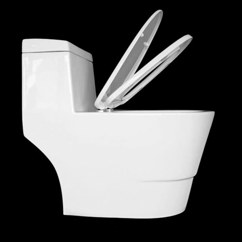 Fine Fixtures Modern Dual Flush Elongated OnePiece Toilet (Seat